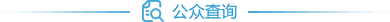公众查询